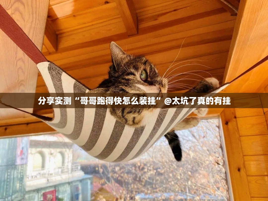 重磅.来袭同城游开挂方法详细开挂教程果然有挂