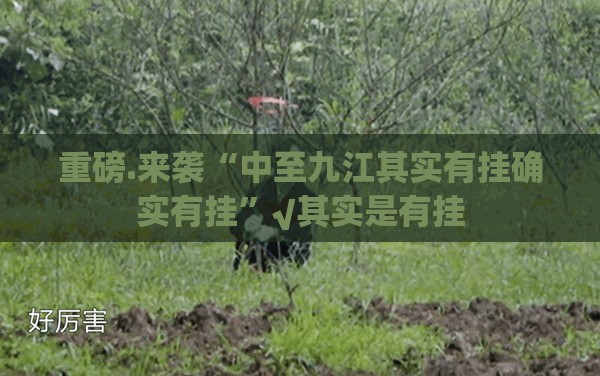 重磅.来袭“中至九江其实有挂确实有挂”√其实是有挂