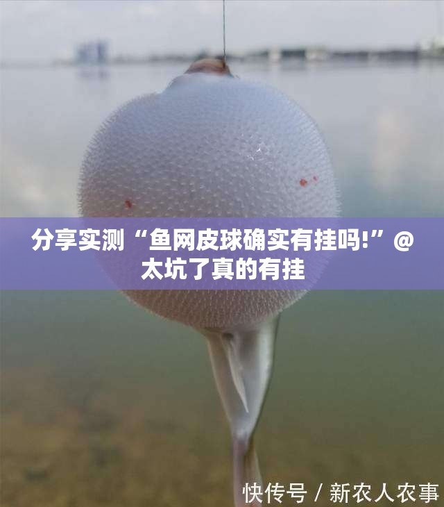 分享实测“鱼网皮球确实有挂吗!”@太坑了真的有挂