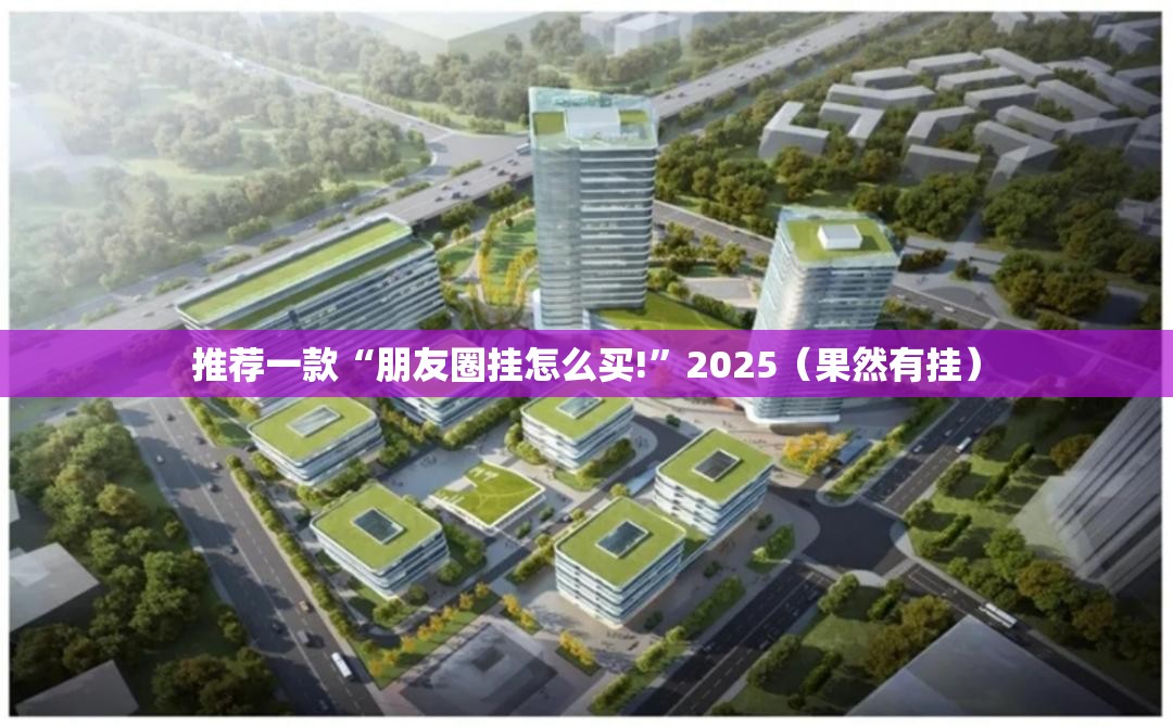 推荐一款“朋友圈挂怎么买!”2025（果然有挂）