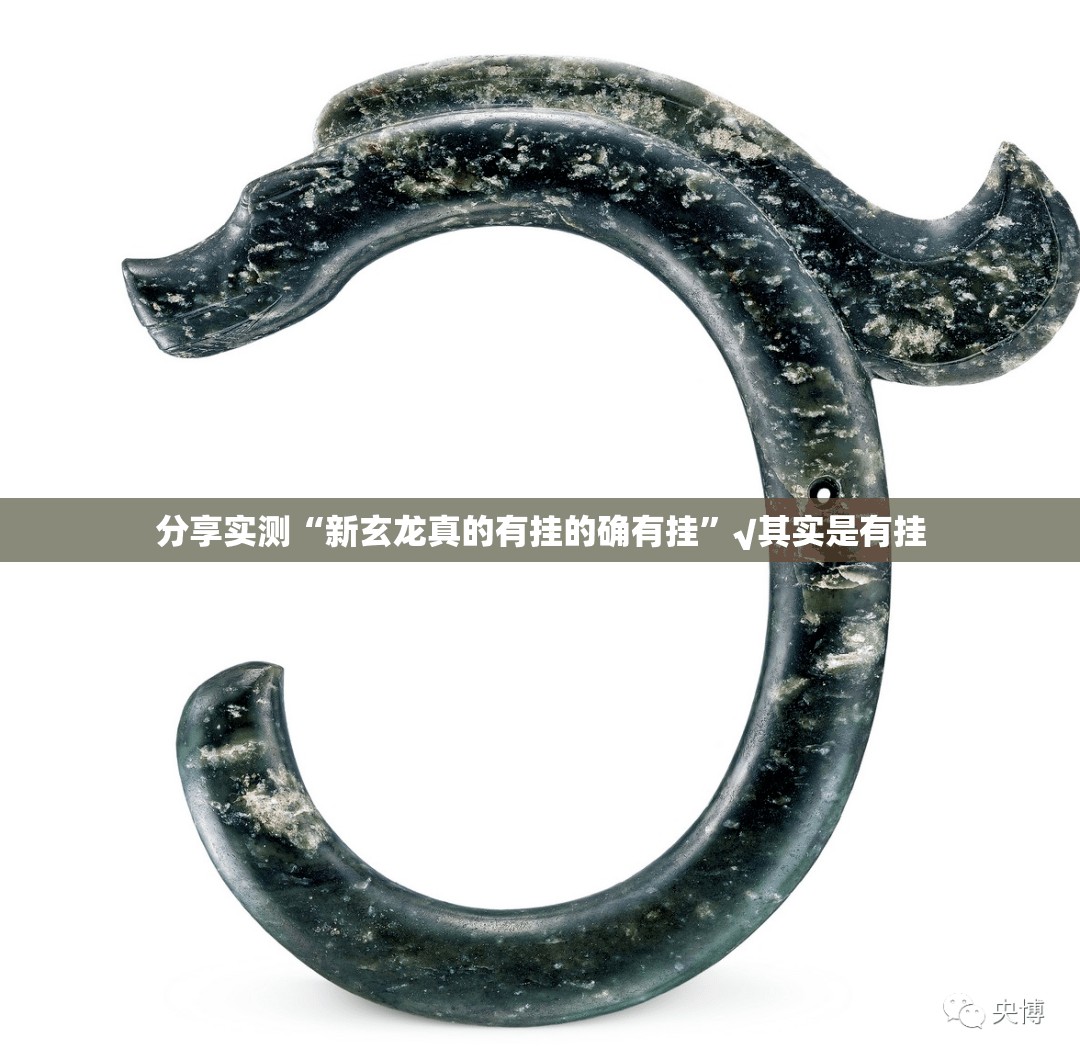 分享实测“新玄龙真的有挂的确有挂”√其实是有挂