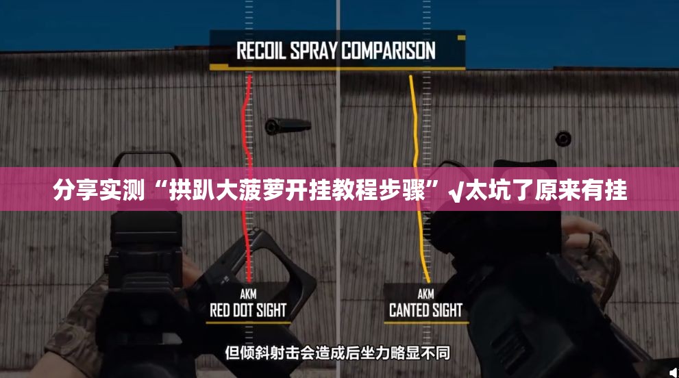 重磅.来袭捞腌菜到底是不是有挂√确实真的有挂