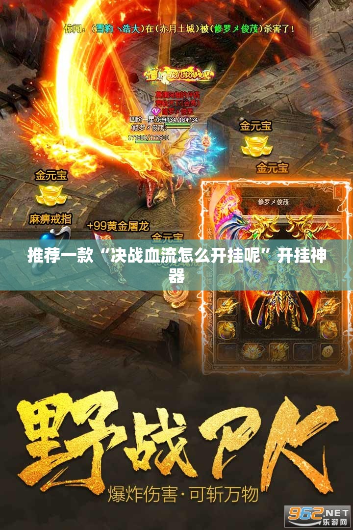 推荐一款“决战血流怎么开挂呢”开挂神器
