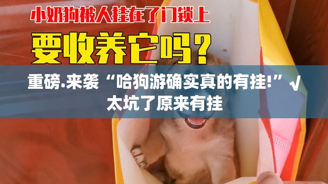 重大通报八喜休闲原来确实有挂原来真可以开挂
