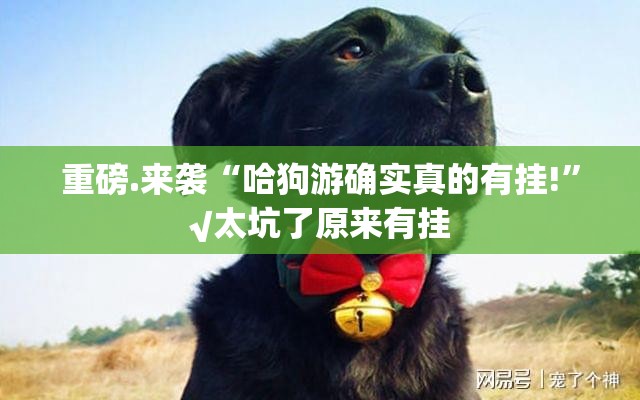 重磅.来袭“哈狗游确实真的有挂!”√太坑了原来有挂