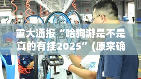 重大通报“哈狗游是不是真的有挂2025”(原来确实是有挂)