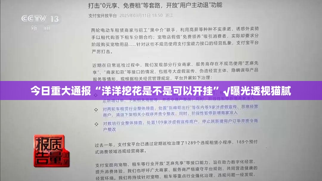今日重大通报“洋洋挖花是不是可以开挂”√曝光透视猫腻