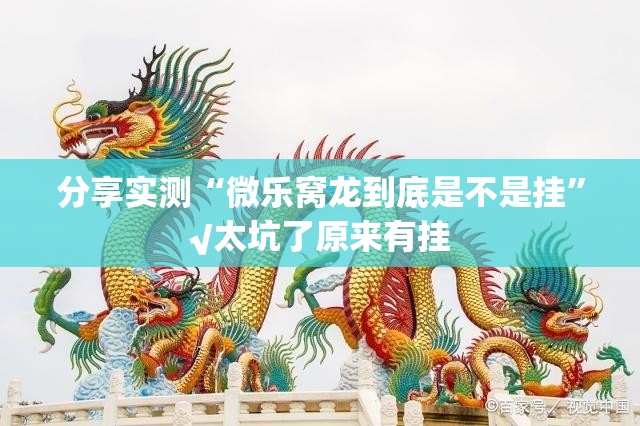 分享实测“微乐窝龙到底是不是挂”√太坑了原来有挂