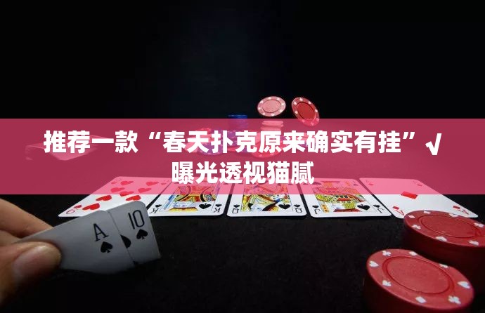 推荐一款“春天扑克原来确实有挂”√曝光透视猫腻