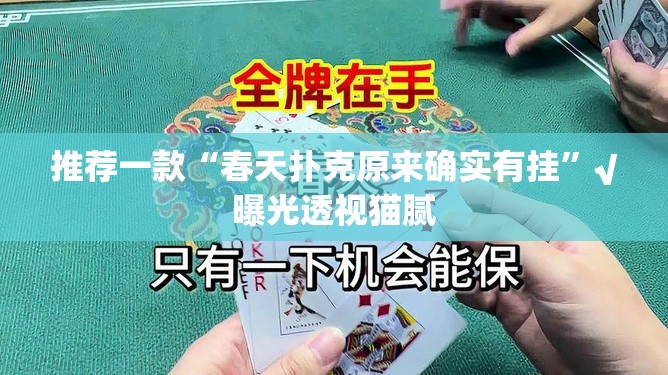 推荐一款“春天扑克原来确实有挂”√曝光透视猫腻