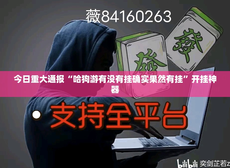 今日重大通报“哈狗游有没有挂确实果然有挂”开挂神器