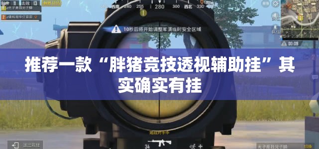 推荐一款“胖猪竞技透视辅助挂”其实确实有挂
