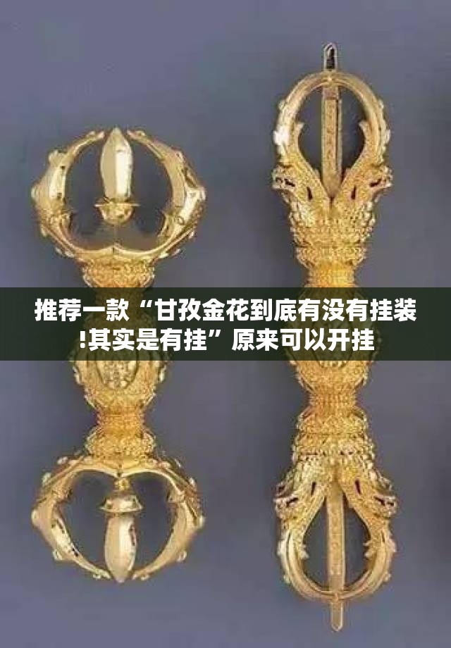 推荐一款“甘孜金花到底有没有挂装!其实是有挂”原来可以开挂