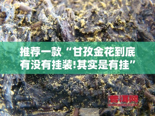 推荐一款“甘孜金花到底有没有挂装!其实是有挂”原来可以开挂