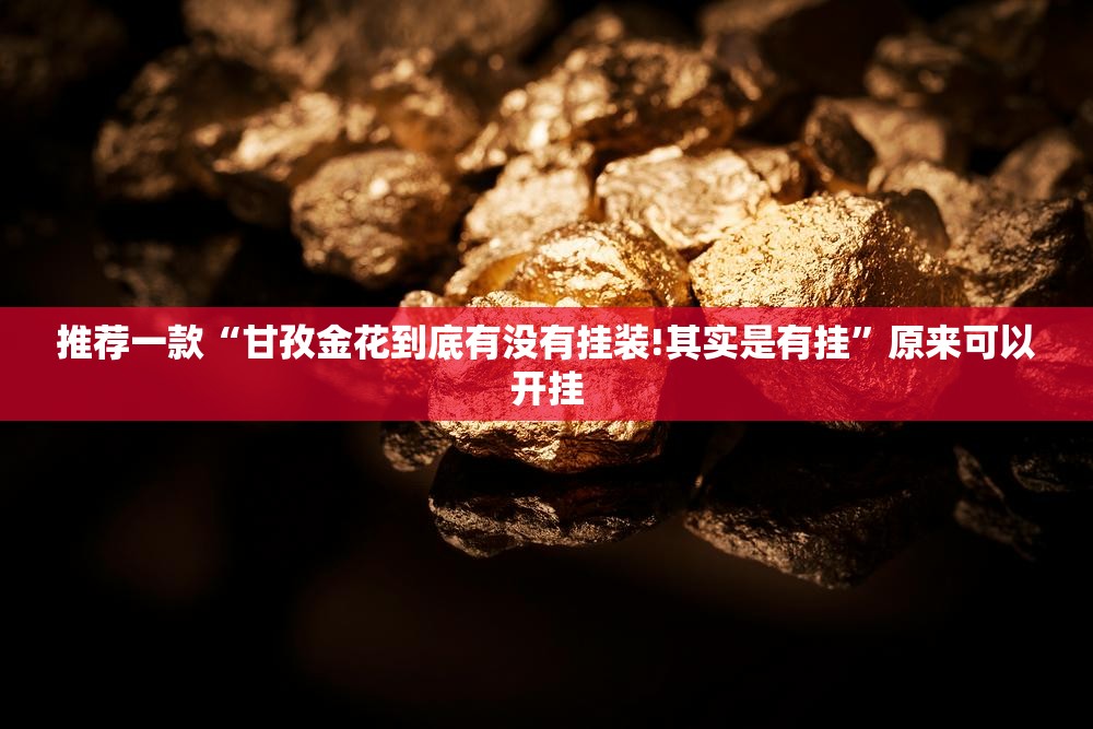 推荐一款“甘孜金花到底有没有挂装!其实是有挂”原来可以开挂
