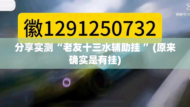 分享实测“老友十三水辅助挂 ”(原来确实是有挂)