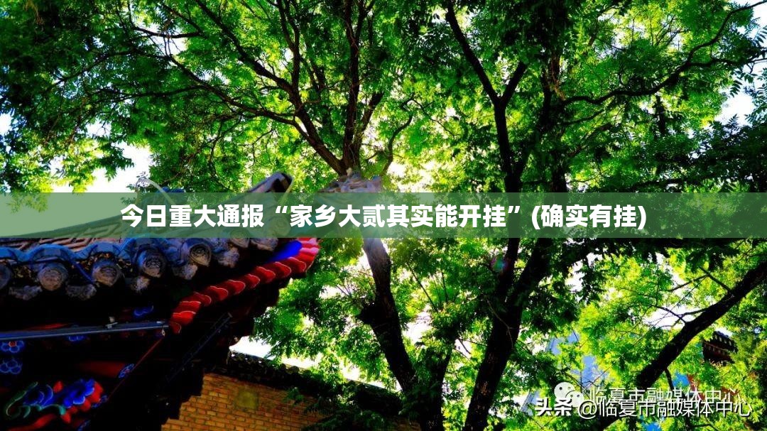 今日重大通报“家乡大贰其实能开挂”(确实有挂)