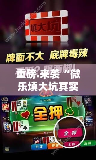 重磅.来袭“微乐填大坑其实是有挂的”2025（果然有挂）