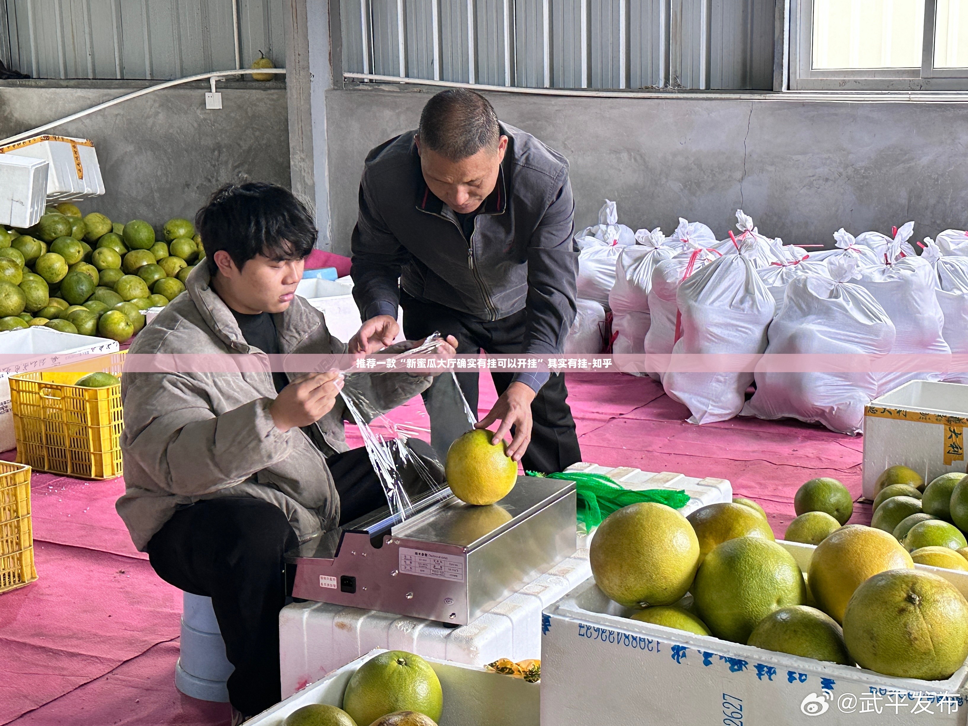 推荐一款“新蜜瓜大厅确实有挂可以开挂”其实有挂-知乎