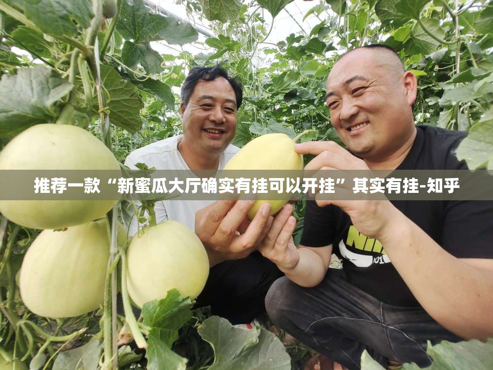推荐一款“新蜜瓜大厅确实有挂可以开挂”其实有挂-知乎