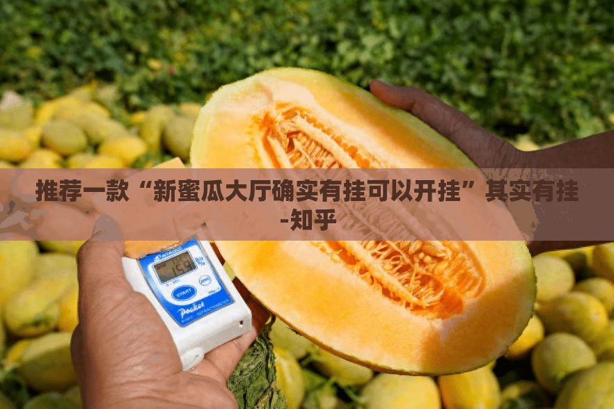 推荐一款“新蜜瓜大厅确实有挂可以开挂”其实有挂-知乎