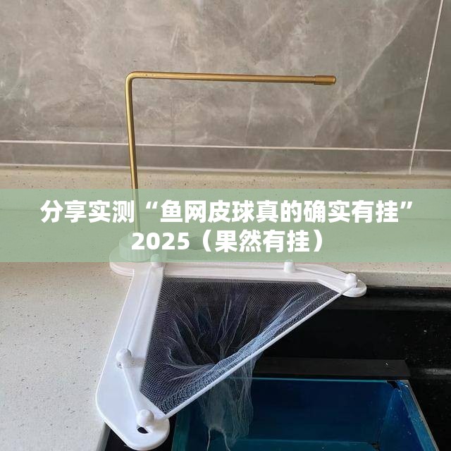 分享实测“鱼网皮球真的确实有挂”2025（果然有挂）
