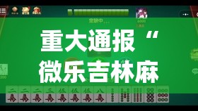 重大通报“微乐吉林麻将可以装挂吗”√曝光透视猫腻
