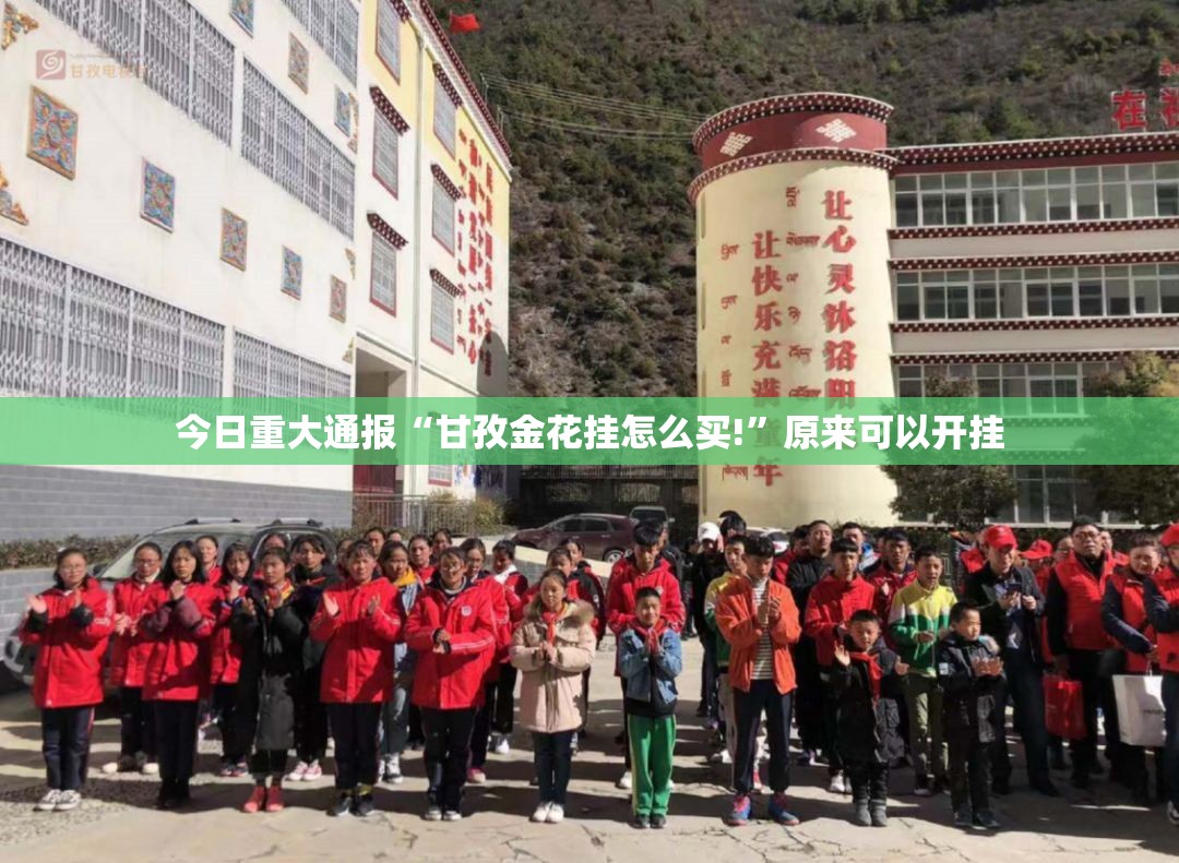 今日重大通报“甘孜金花挂怎么买!”原来可以开挂