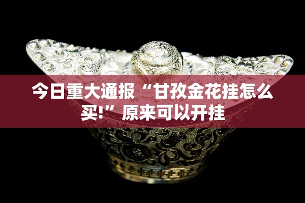 今日重大通报“甘孜金花挂怎么买!”原来可以开挂