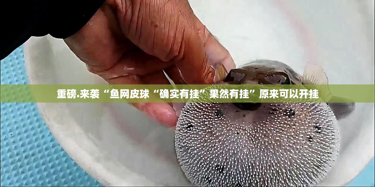 重磅.来袭“鱼网皮球“确实有挂”果然有挂”原来可以开挂
