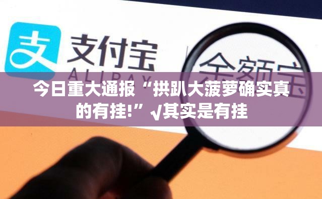 今日重大通报“拱趴大菠萝确实真的有挂!”√其实是有挂