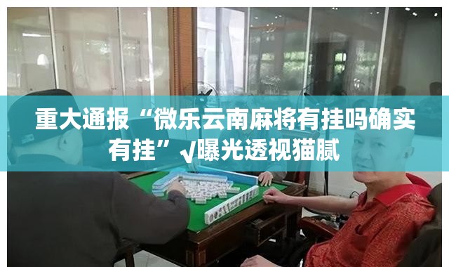 重大通报“微乐云南麻将有挂吗确实有挂”√曝光透视猫腻