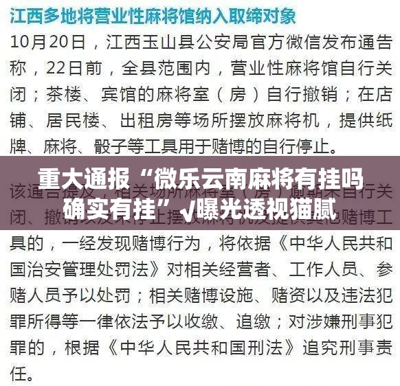 重大通报“微乐云南麻将有挂吗确实有挂”√曝光透视猫腻