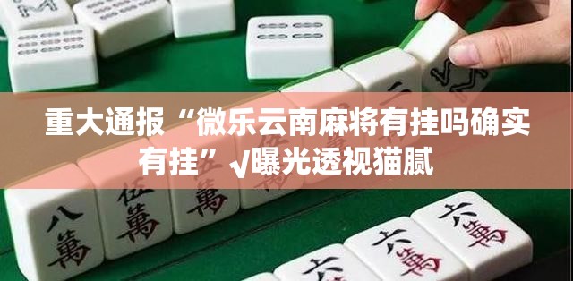重大通报“微乐云南麻将有挂吗确实有挂”√曝光透视猫腻