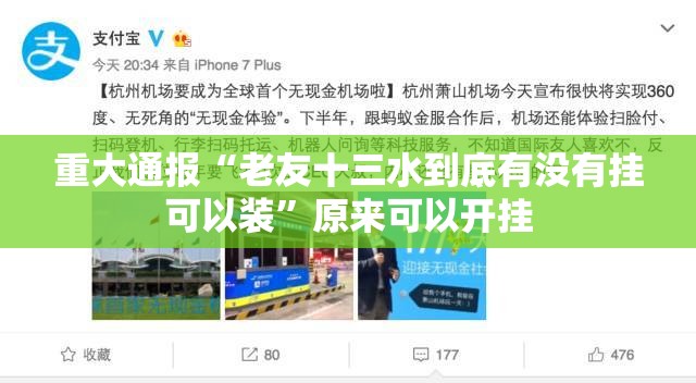 重磅.来袭新八戒是否有挂果然有挂