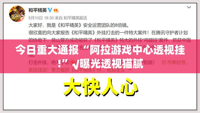 今日重大通报“阿拉游戏中心透视挂!”√曝光透视猫腻