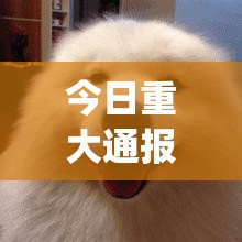 重大通报四海互娱怎么开挂呢√曝光透视猫腻