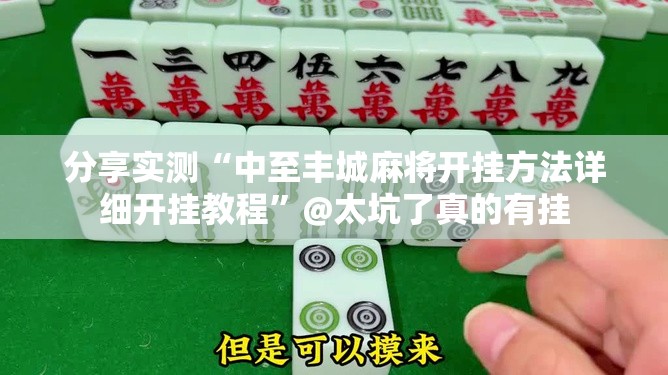 重磅.来袭湖南骨牌“确实有挂”果然有挂开挂神器