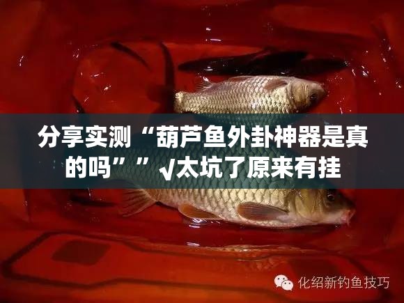 分享实测“葫芦鱼外卦神器是真的吗””√太坑了原来有挂