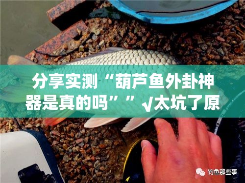 分享实测“葫芦鱼外卦神器是真的吗””√太坑了原来有挂