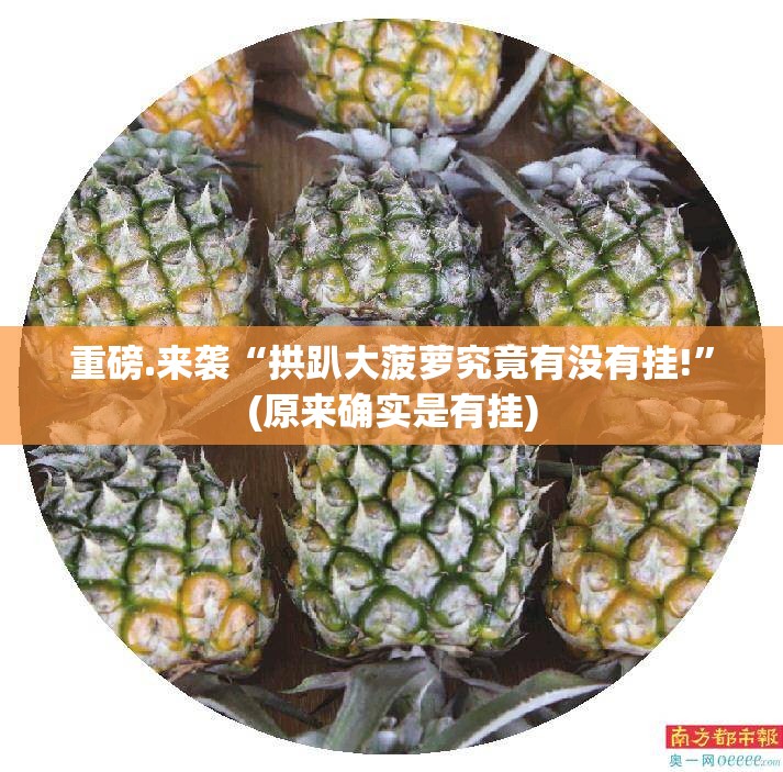 重磅.来袭“拱趴大菠萝究竟有没有挂!”(原来确实是有挂)