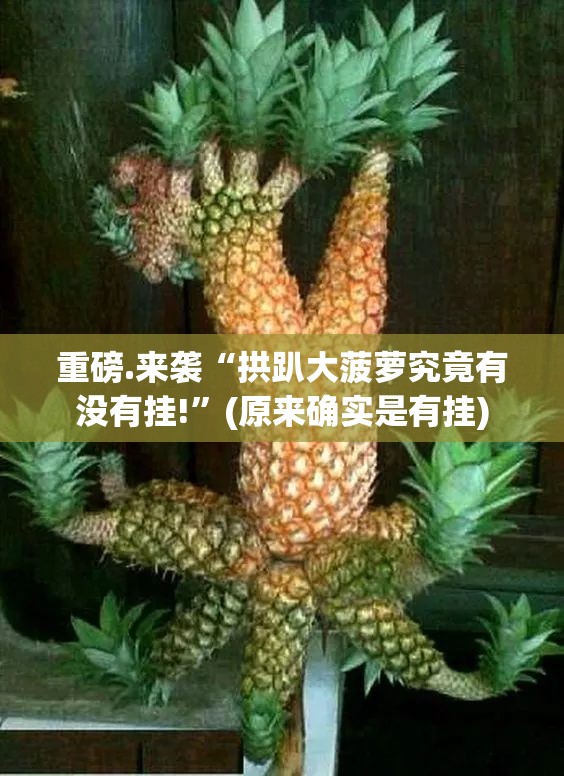 重磅.来袭“拱趴大菠萝究竟有没有挂!”(原来确实是有挂)