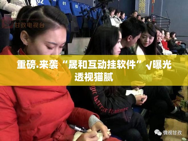 重磅.来袭“晟和互动挂软件”√曝光透视猫腻