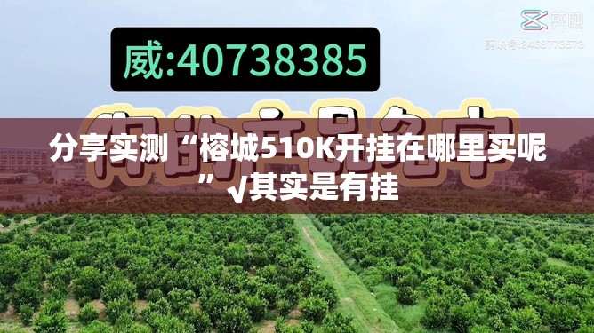 推荐一款先锋跑得快其实能开挂吗分享真的有挂给你