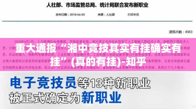 重大通报“湘中竞技其实有挂确实有挂”(真的有挂)-知乎