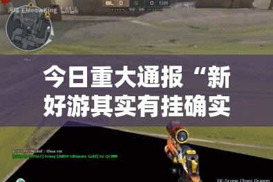 今日重大通报“新好游其实有挂确实有挂”原来可以开挂