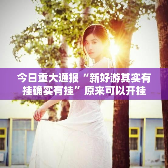 今日重大通报“新好游其实有挂确实有挂”原来可以开挂