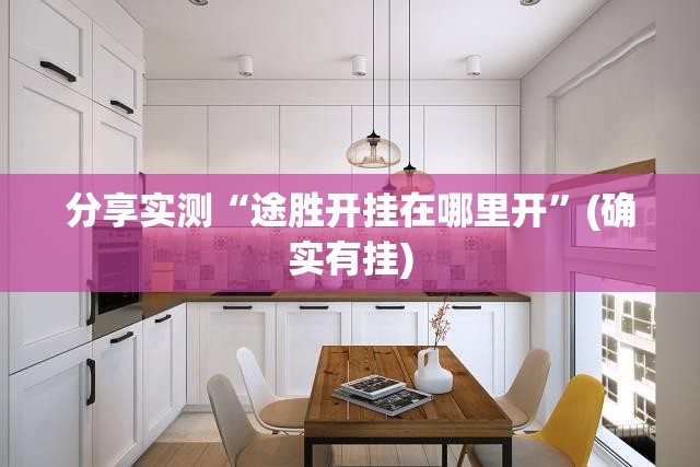 分享实测“途胜开挂在哪里开”(确实有挂)