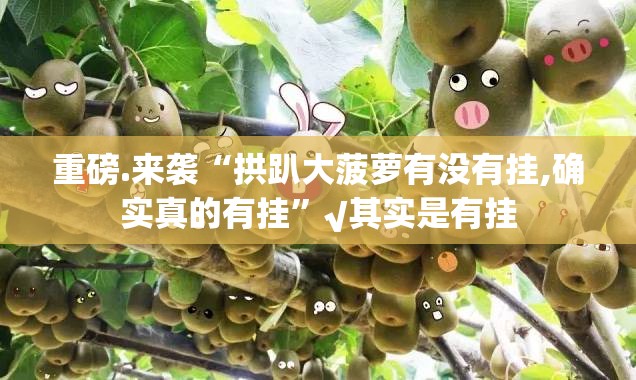 推荐一款微微娱乐确实有挂可以开挂果然有挂 推荐一款微微娱乐确实有挂可以开挂果然有挂