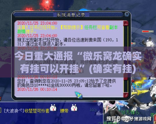 今日重大通报“微乐窝龙确实有挂可以开挂”(确实有挂)